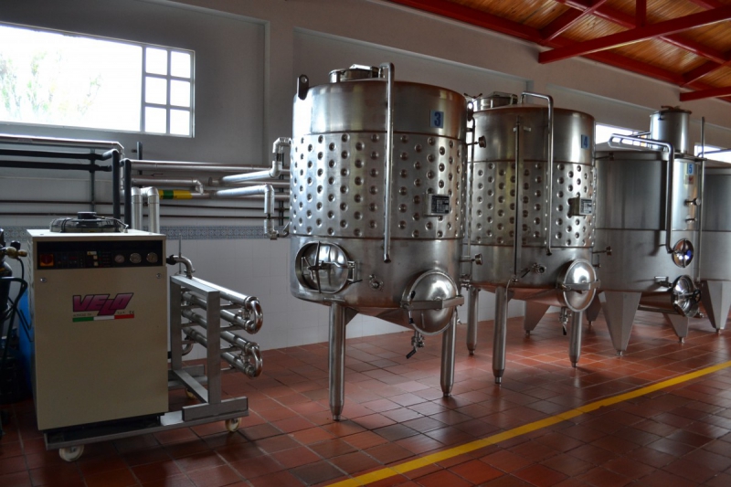 cave-DALUIS-min_wine_production_cantine_winery_drink_alcohol_vine_beverage-902036